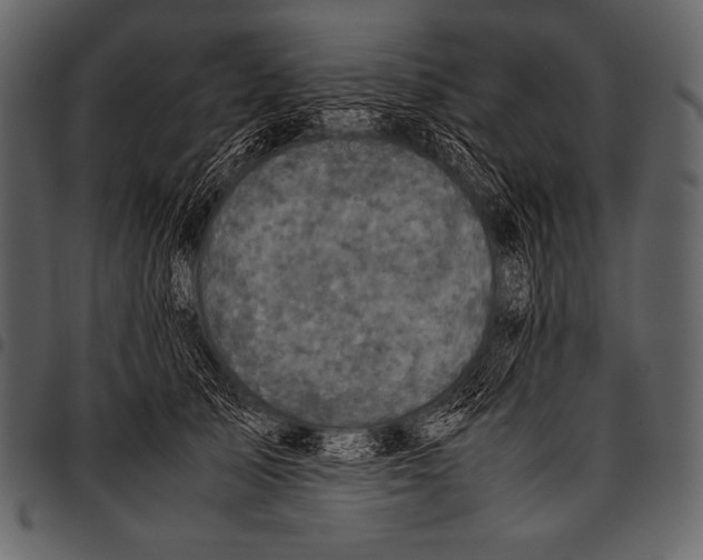 X0000097460705200803201426