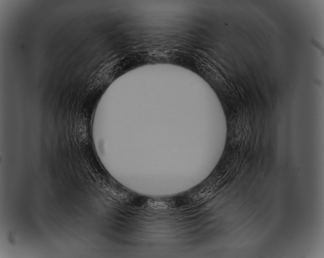 X0000097460706200803201426