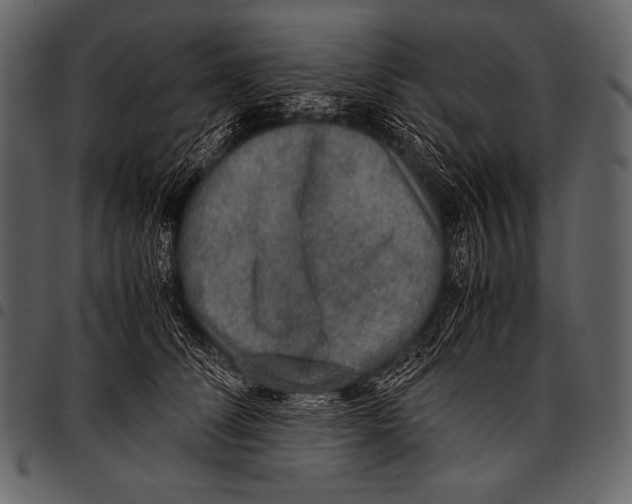 X0000097460708200803201426