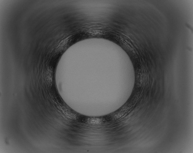 X0000097460710200803201426