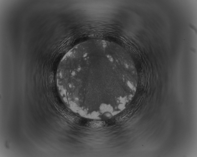 X0000097460711200803201426