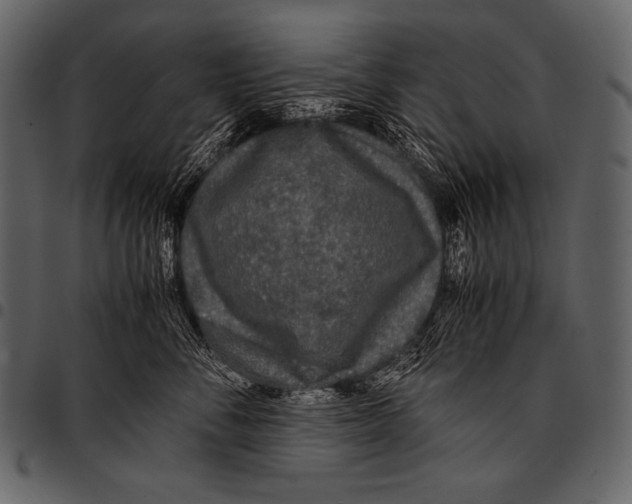 X0000097460716200803201426