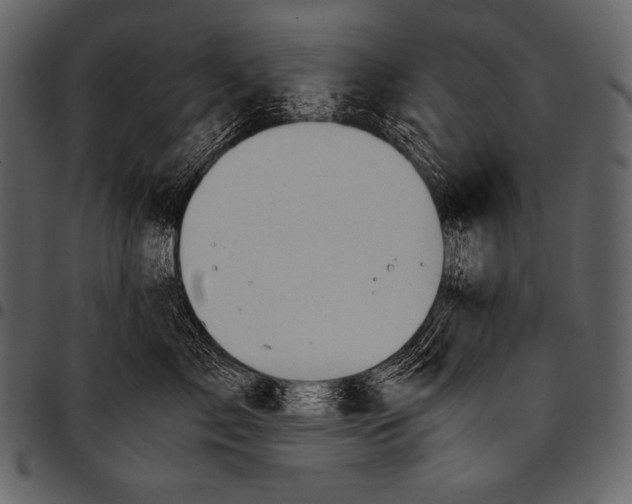 X0000097460717200803201426