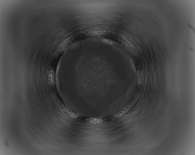 X0000097460718200803201426