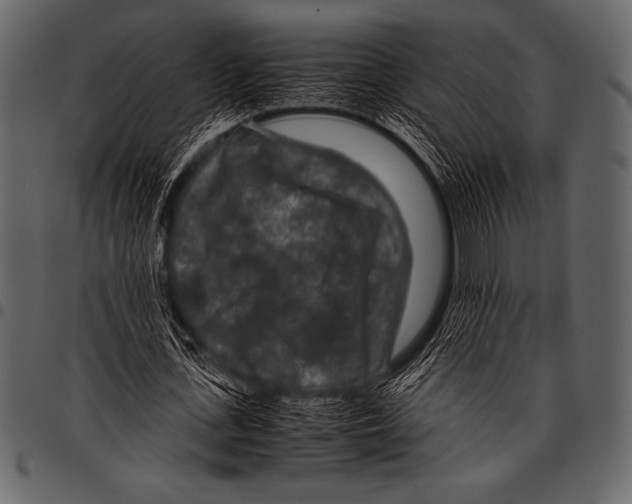 X0000097460723200803201425