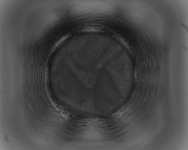 X0000097460724200803201425