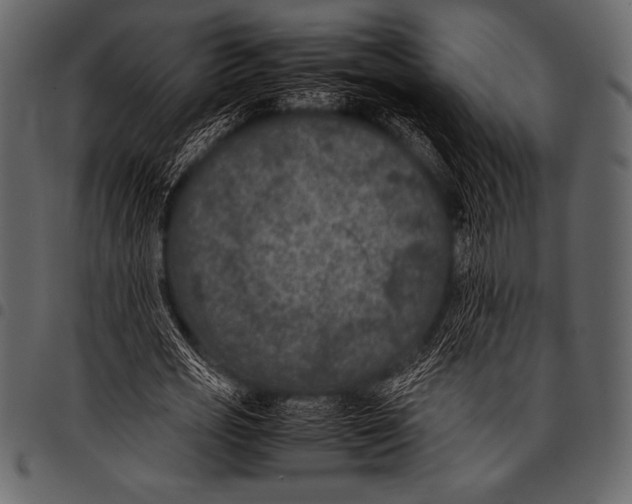 X0000097460725200803201425