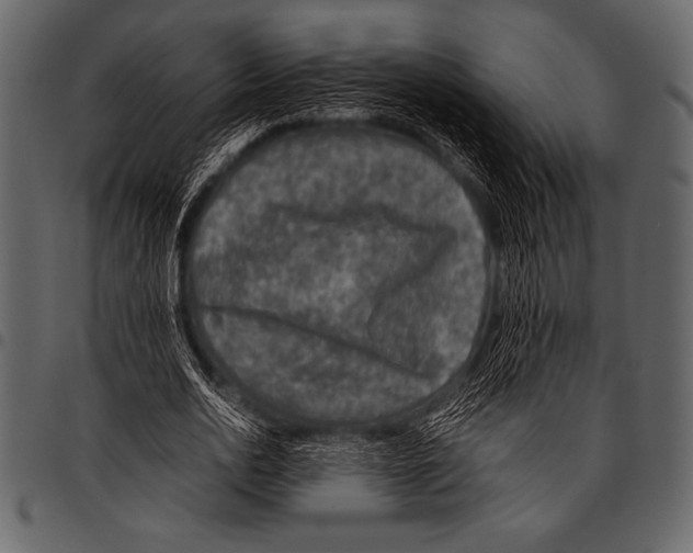 X0000097460726200803201425