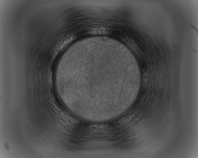 X0000097460727200803201425