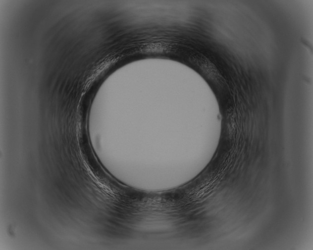 X0000097460728200803201425