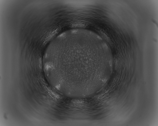 X0000097460729200803201425