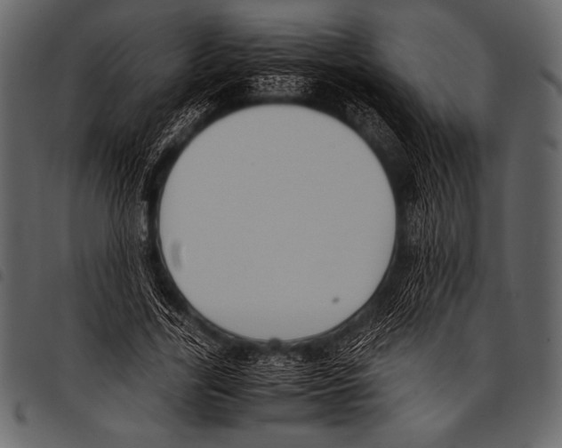 X0000097460731200803201425