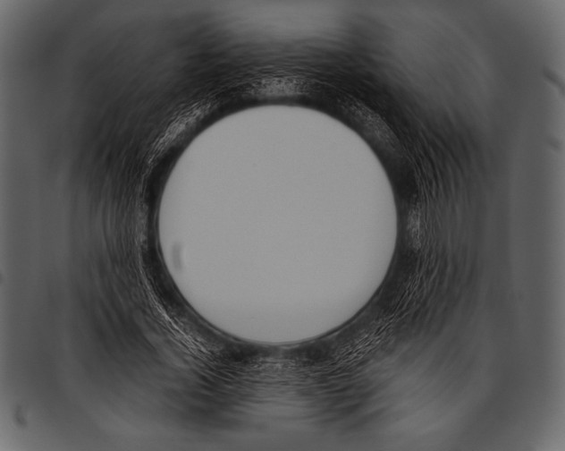 X0000097460732200803201425