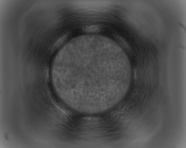 X0000097460733200803201425