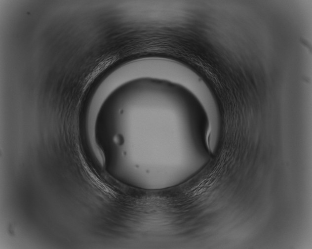 X0000097460734200803201425