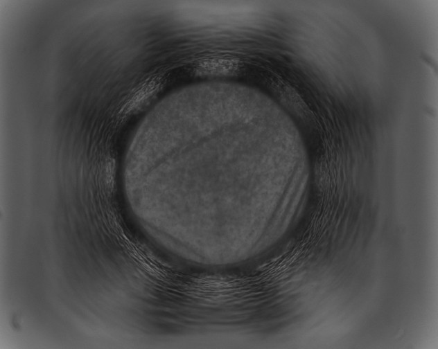 X0000097460735200803201425