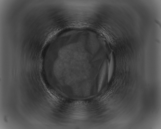 X0000097460736200803201425