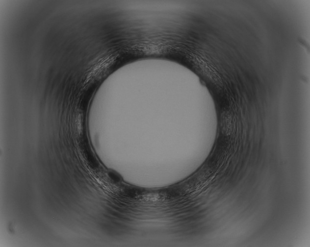 X0000097460740200803201425