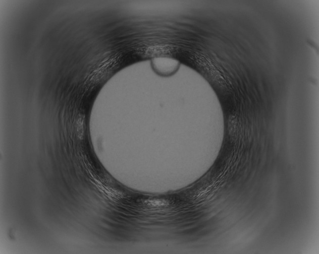 X0000097460741200803201426