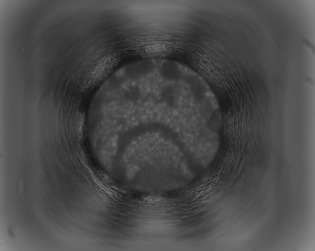 X0000097460742200803201426