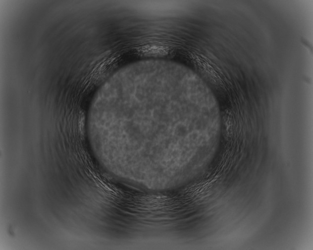 X0000097460745200803201426