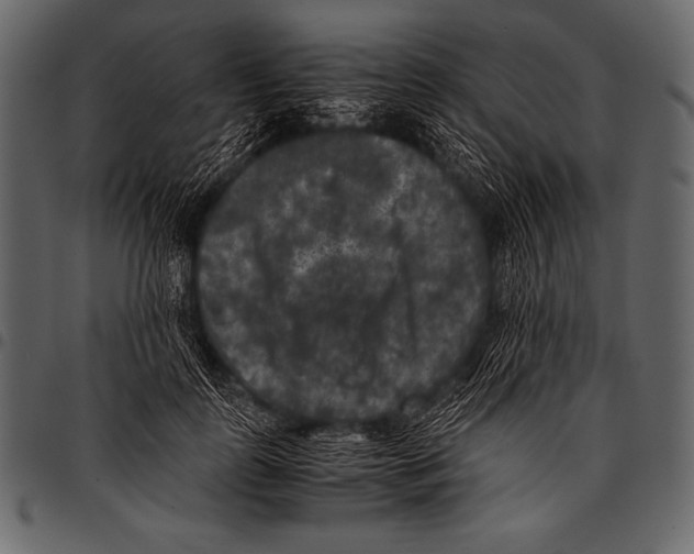 X0000097460747200803201426