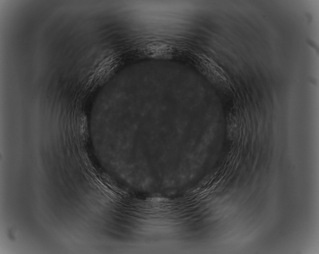 X0000097460748200803201426