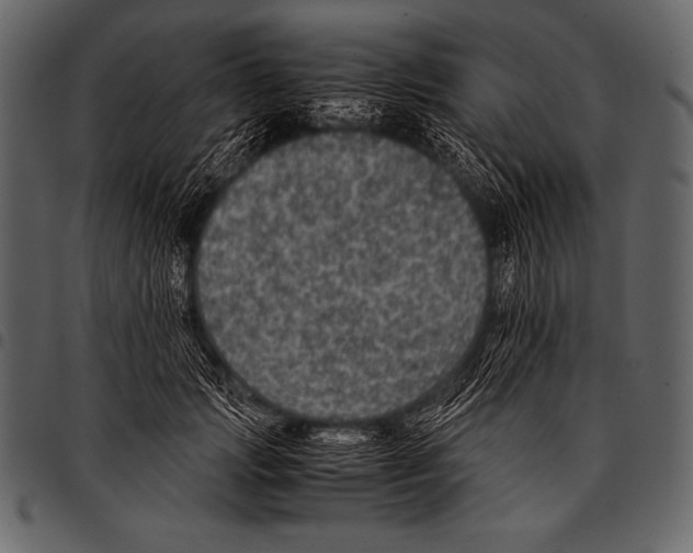 X0000097460749200803201426