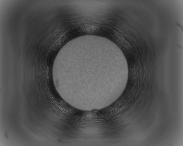 X0000097460750200803201426