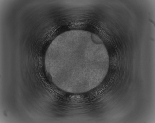 X0000097460751200803201426