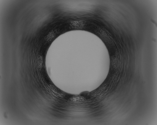 X0000097460752200803201426