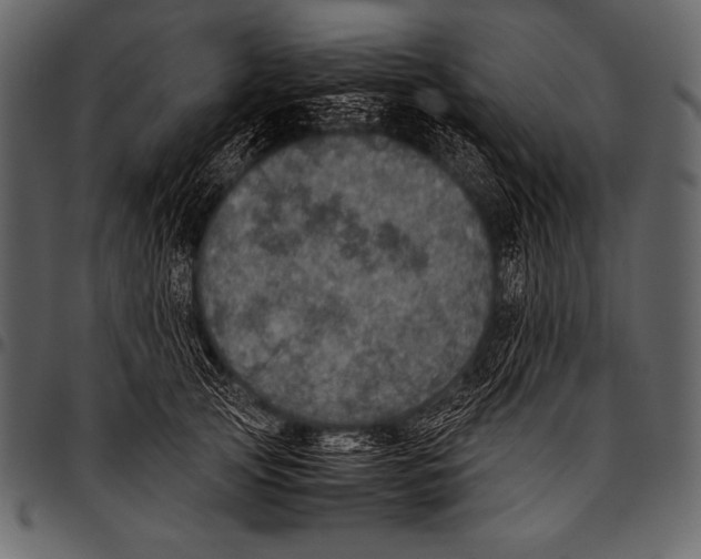 X0000097460753200803201426