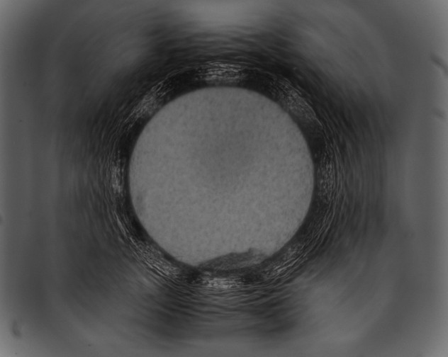 X0000097460755200803201426