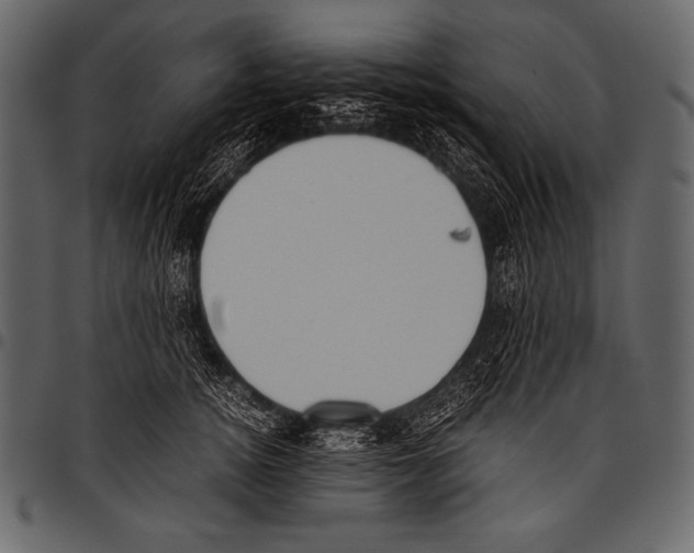 X0000097460756200803201426