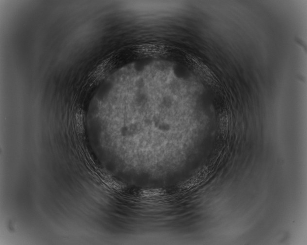 X0000097460757200803201426