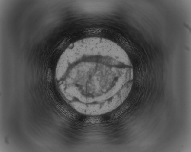 X0000097460758200803201426