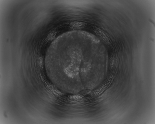 X0000097460759200803201426