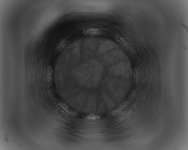 X0000097460760200803201426