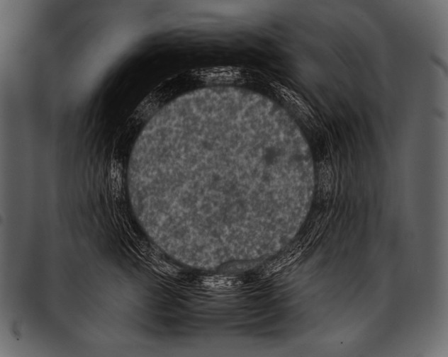 X0000097460761200803201426