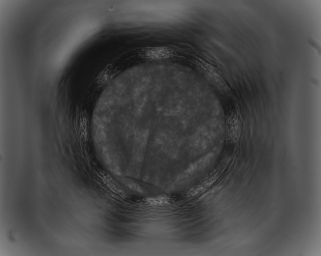 X0000097460762200803201426