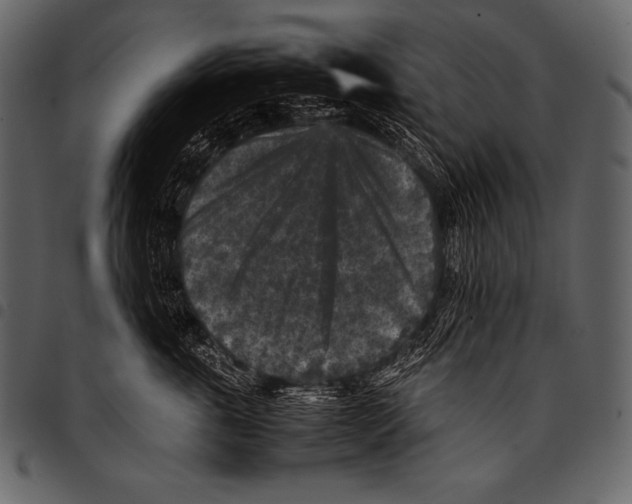 X0000097460763200803201426