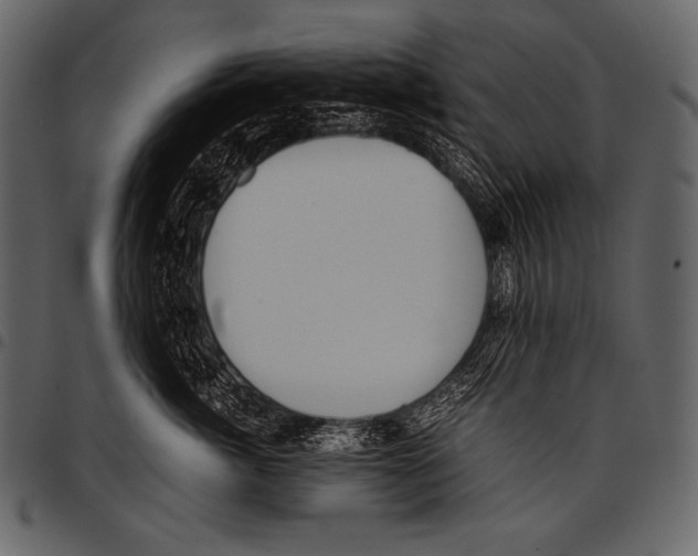 X0000097460764200803201426