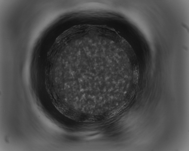 X0000097460765200803201426