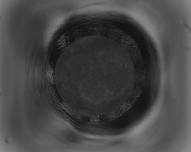 X0000097460766200803201426