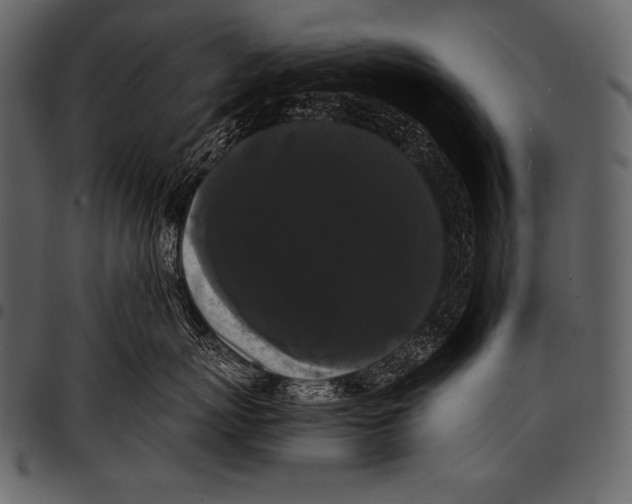 X0000097460767200803201426