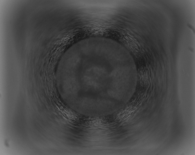 X0000097460769200803201425