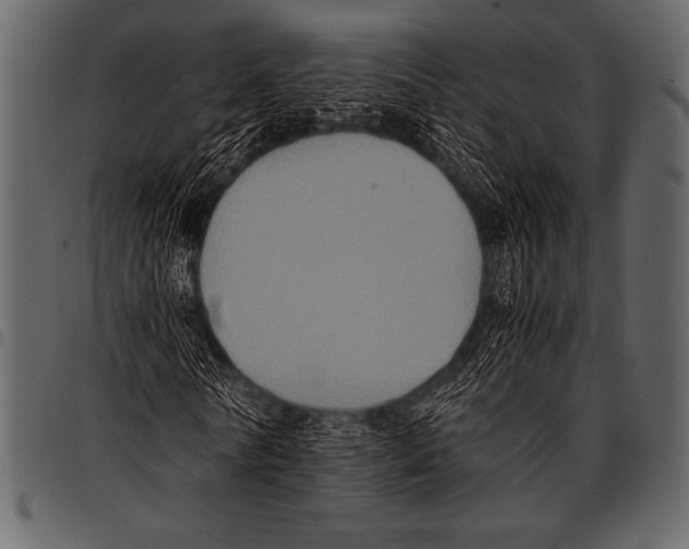 X0000097460770200803201425