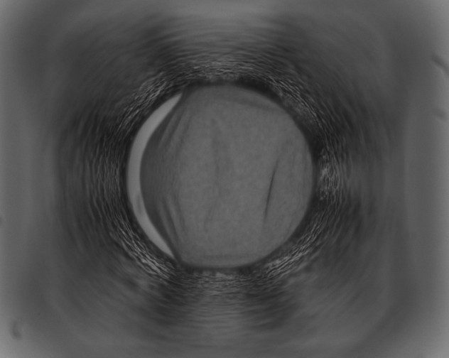 X0000097460772200803201425