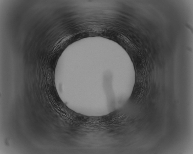 X0000097460773200803201425