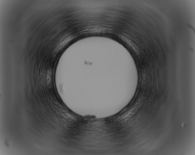 X0000097460778200803201425